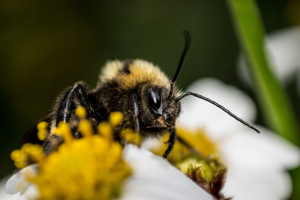 Фотография автора Jose Marcos Carvajal Tarazona
