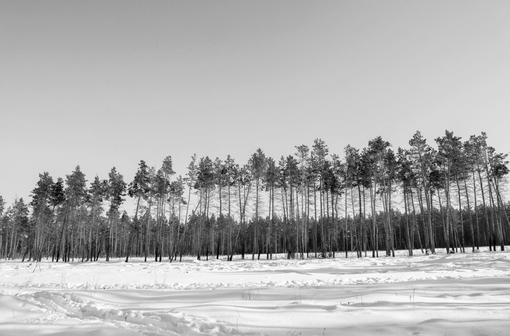 Стройными рядами.