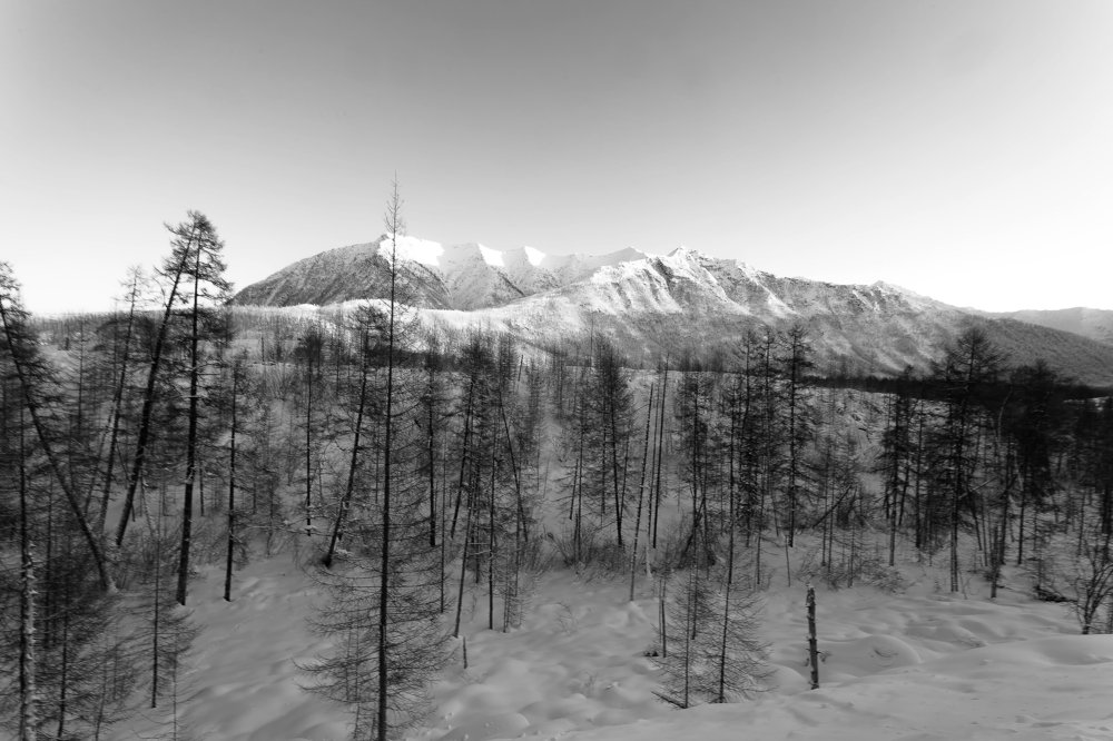 Зимний хребет.