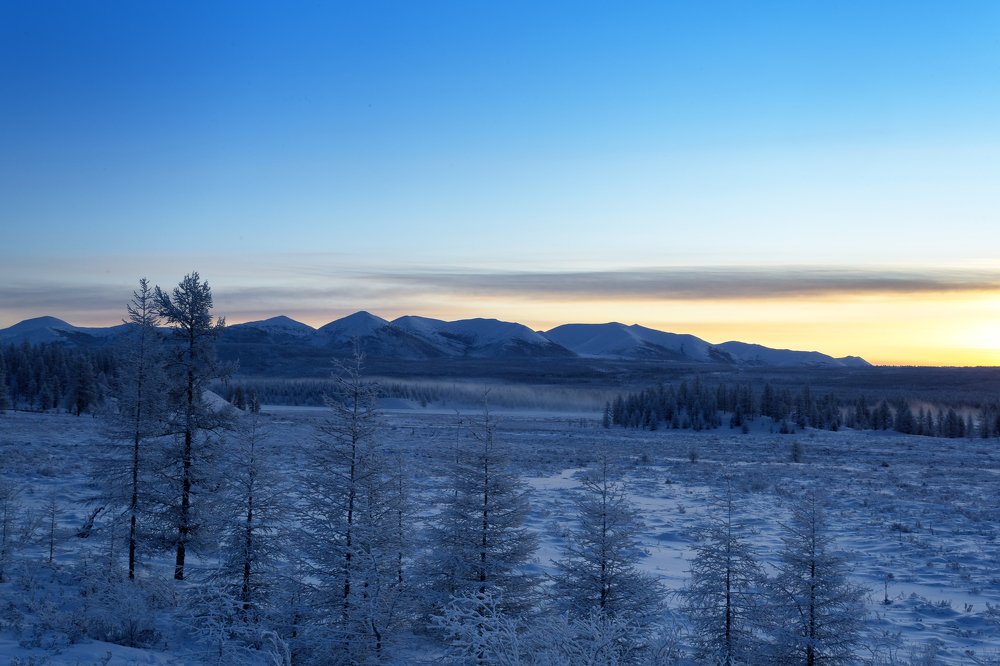 Зимний рассвет.