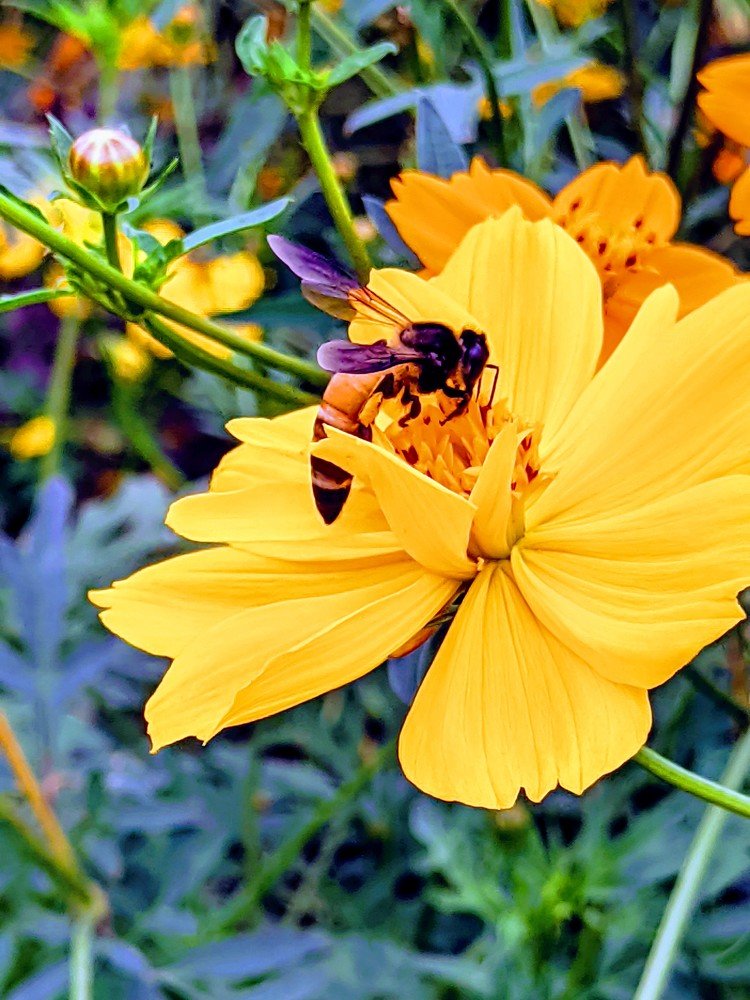 Photograph by Rajinikanth S