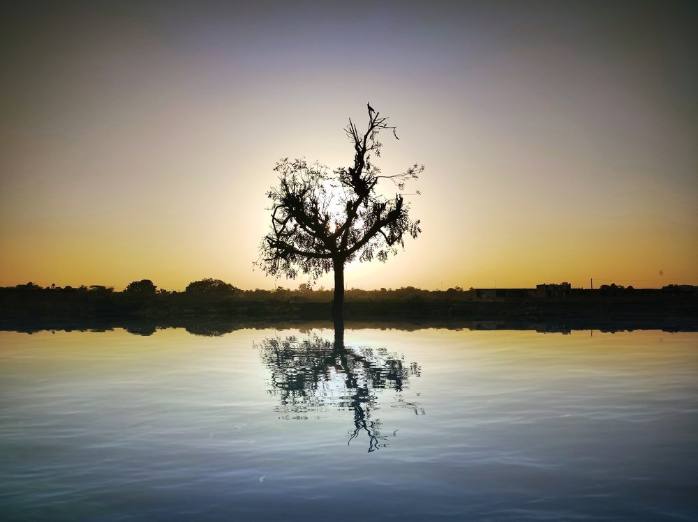 The view! Not we see but that bird can.