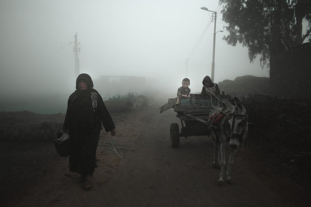 Photograph by Mohamed Elsheikh