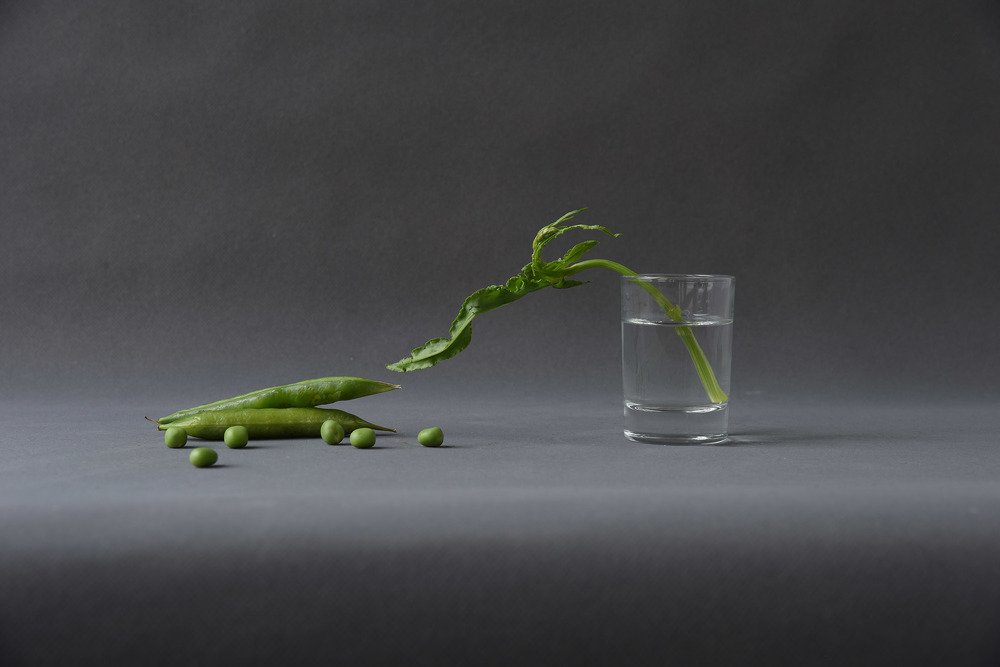 Photograph by Svetlana Khromova