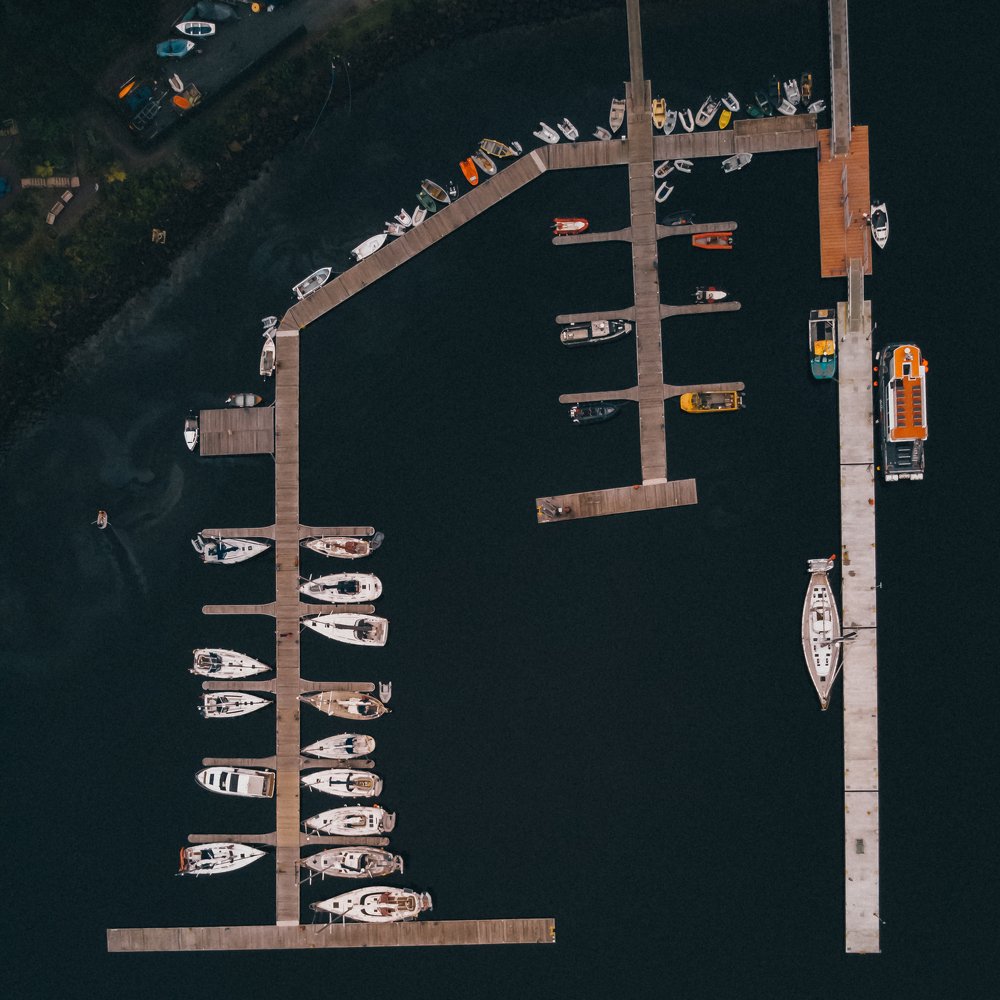 Photograph by Jayanth G