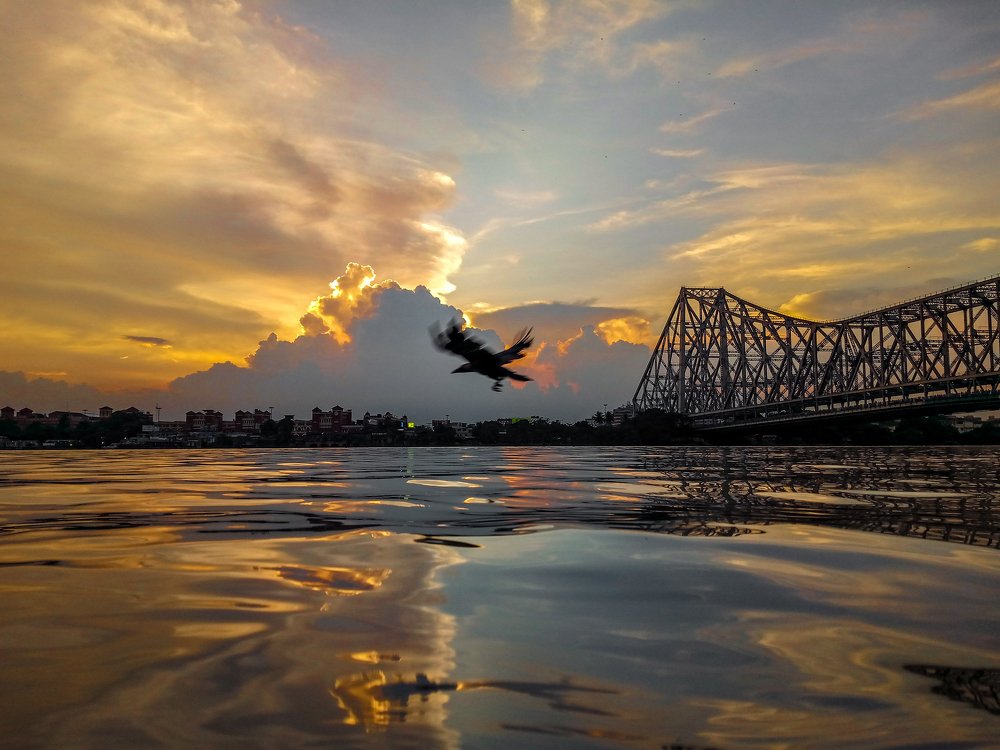 Evening Saga
