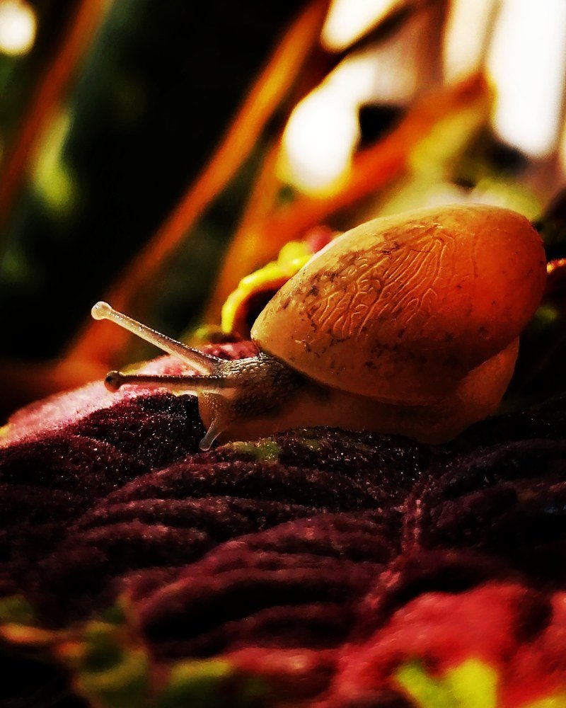 Photograph by Ahmed Bekhit