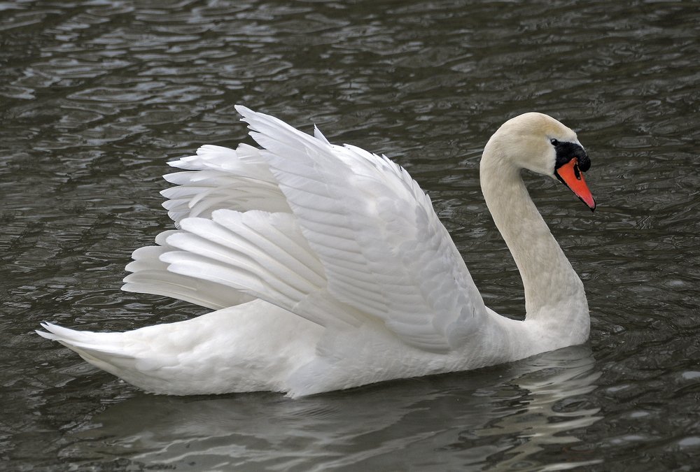 Брачный наряд