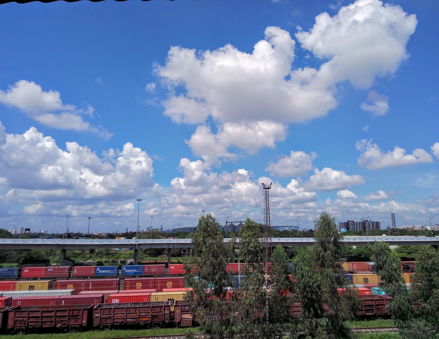 Photo #4479300
