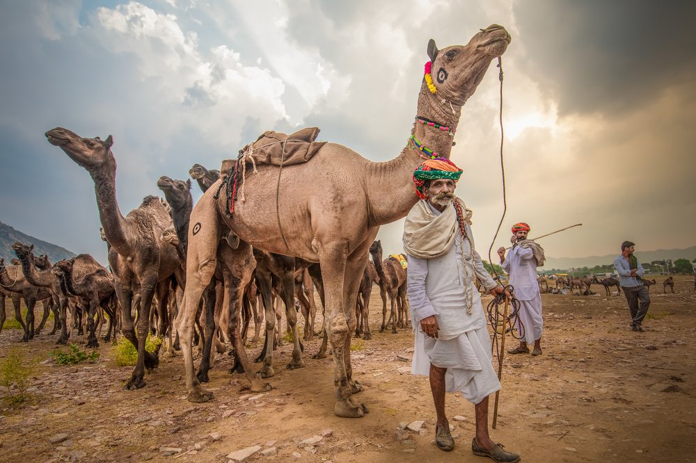 Photograph by Rahul Wedpathak