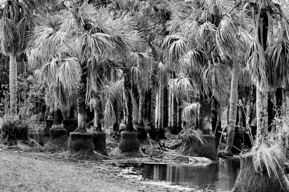 Photograph by Marzio Fattorini