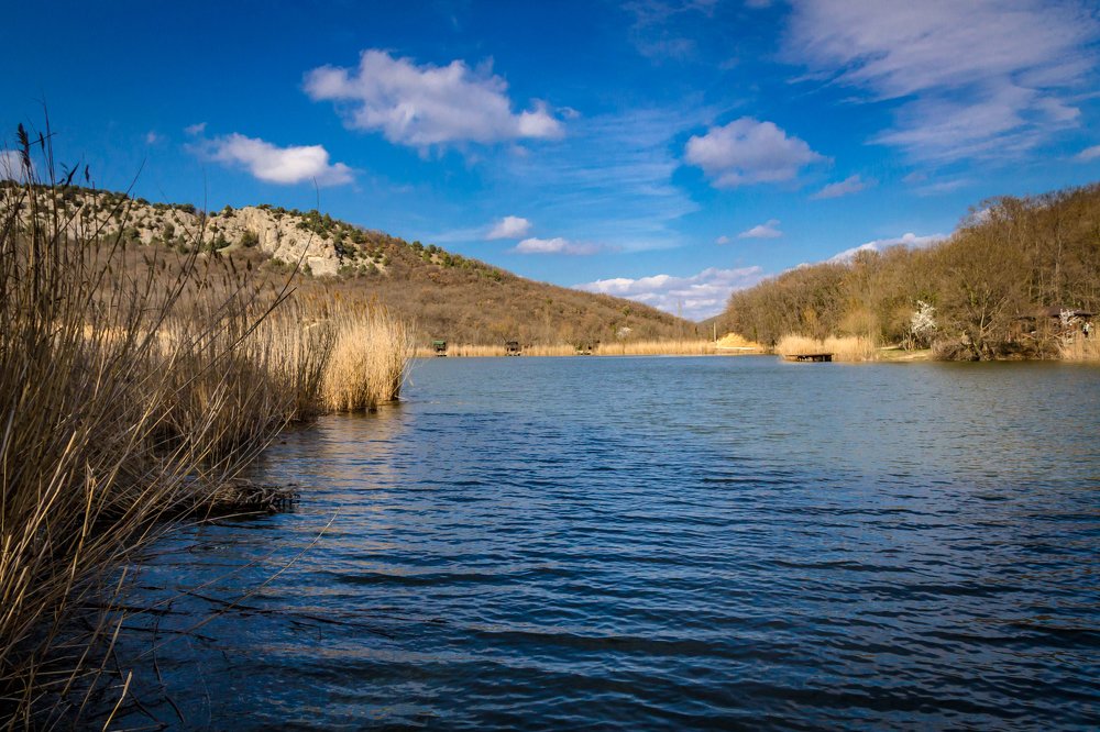 Торопова дача