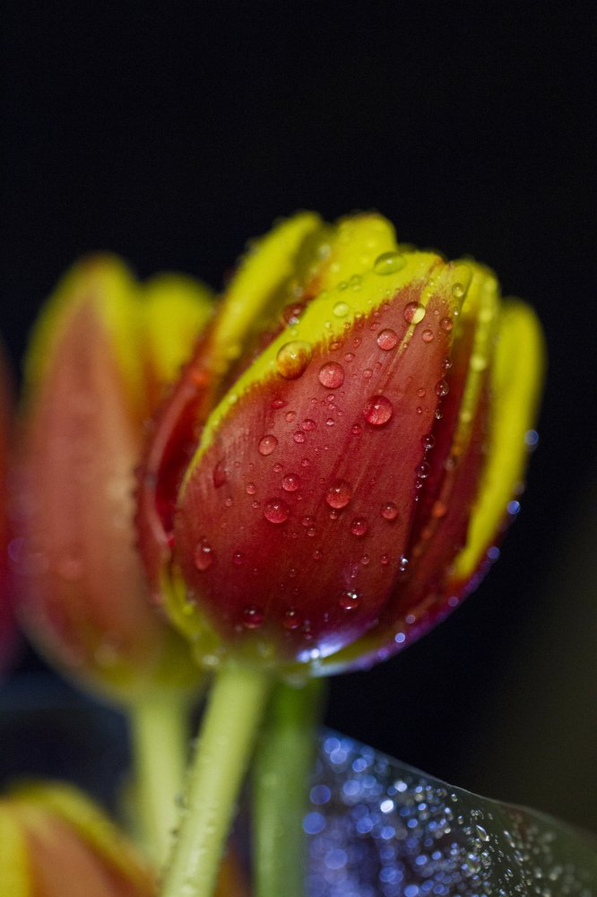 Photograph by Таня Короткова