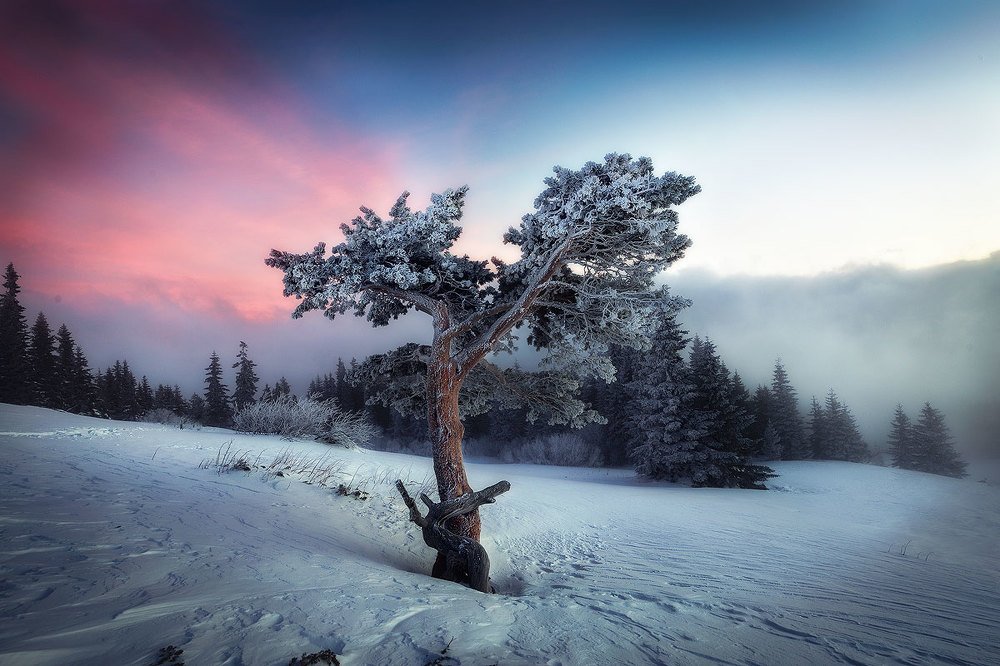 Photograph by Ilian Bozanov