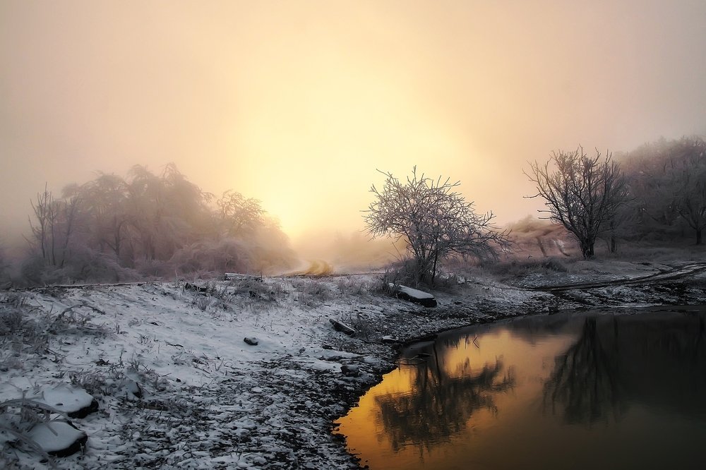 Photograph by Сергей Прокофьев