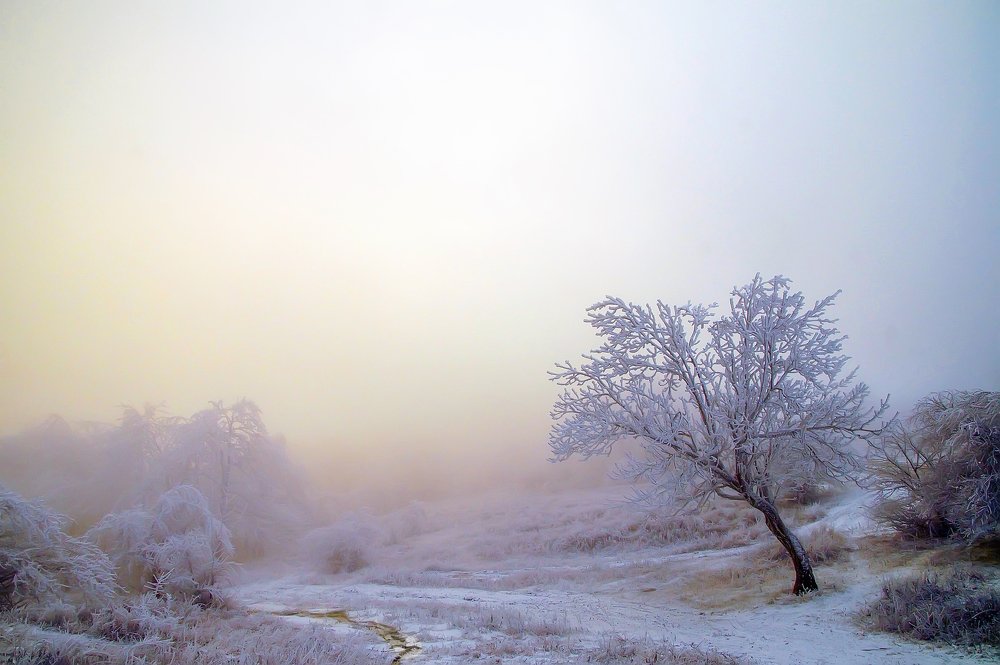 Photograph by Сергей Прокофьев