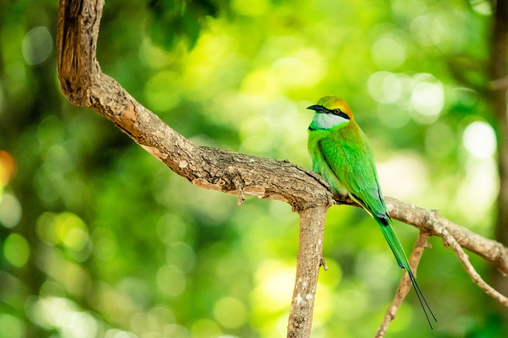 Photograph by MANSOUR ALOBAIDI