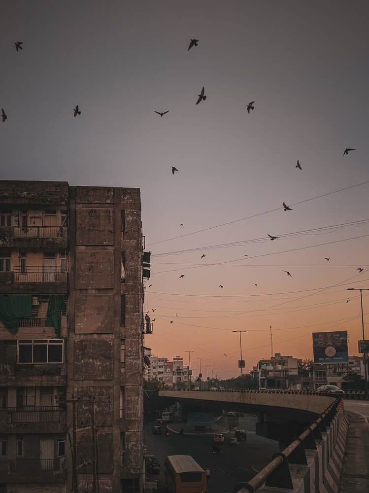 Photograph by Divyesh Gajjar