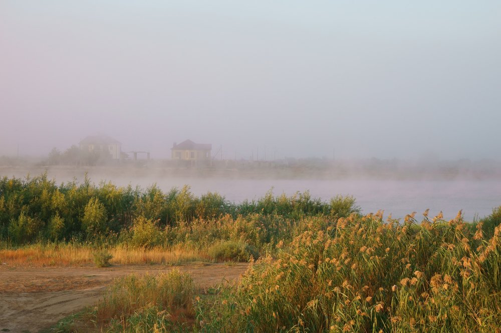 Photograph by Валерий Ситников