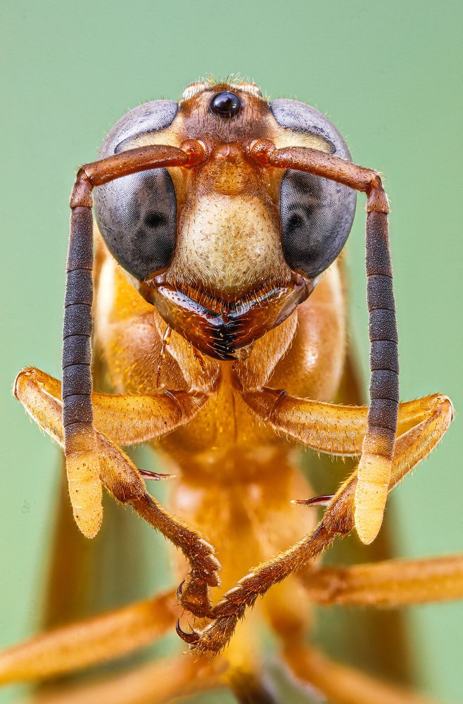 Photograph by André Luiz Araújo