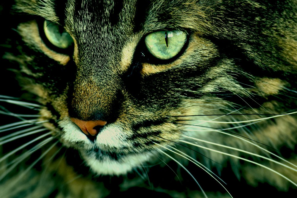 Фотография автора Livija Gotz