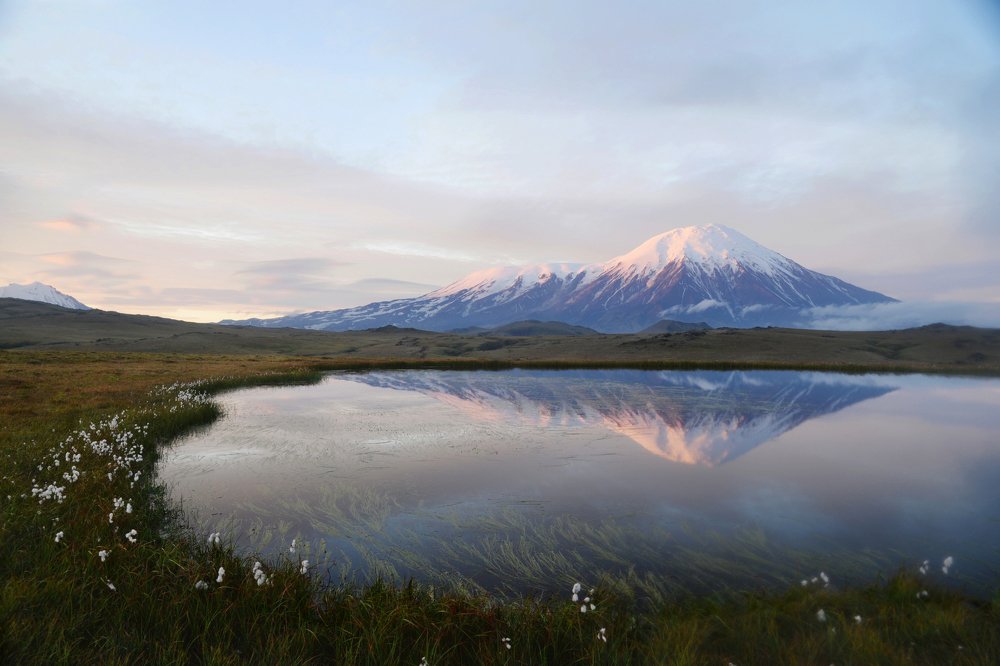 Photograph by Natalie Lamm