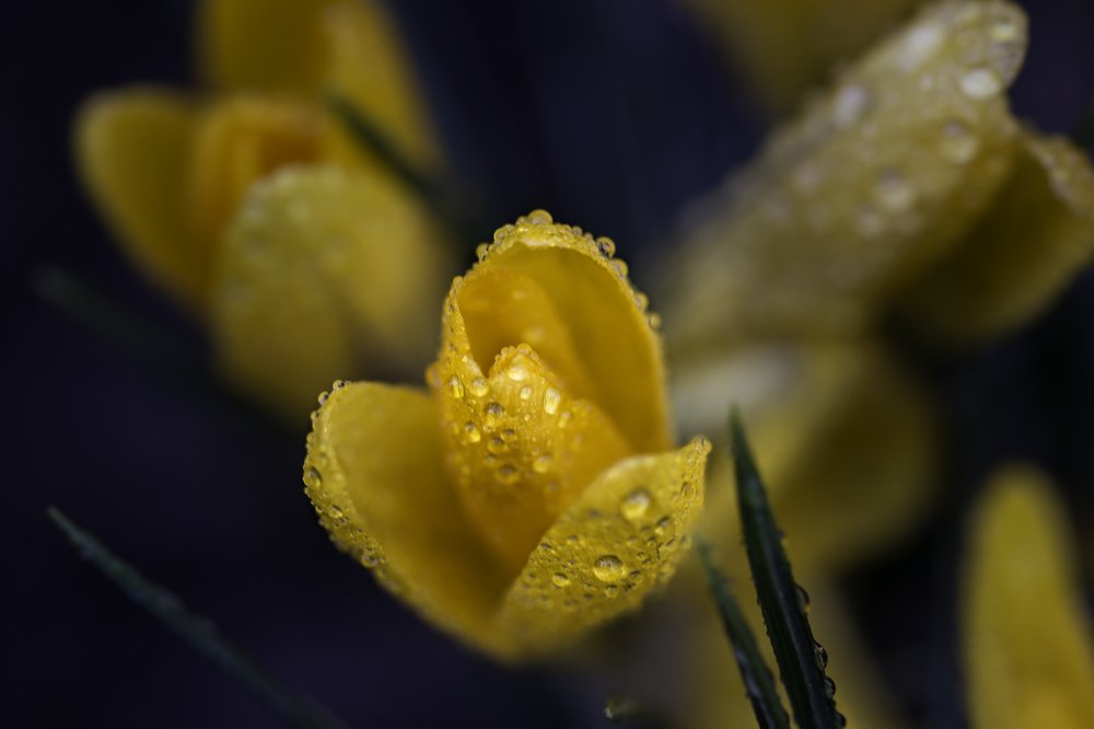 Фотография автора Анна Вигера