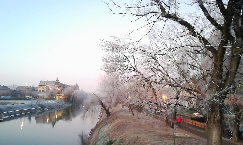 Photograph by Gemelina Opriș