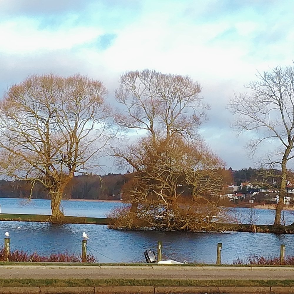 Photograph by Gemelina Opriș