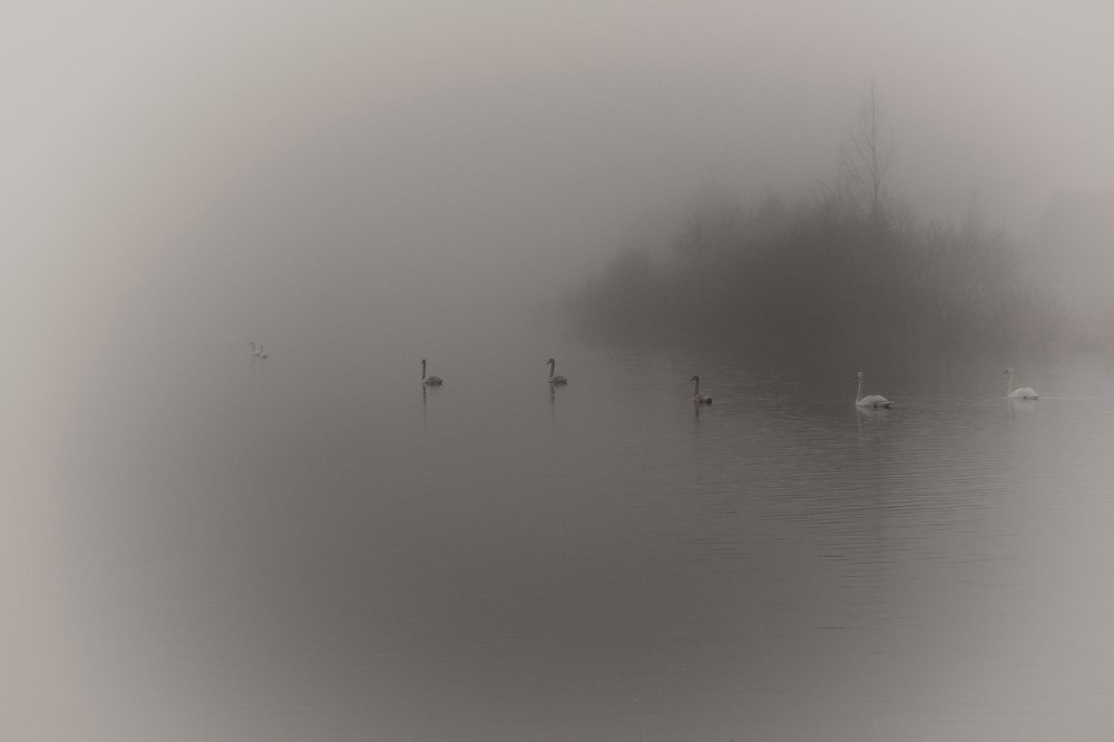 Photograph by Gaļina