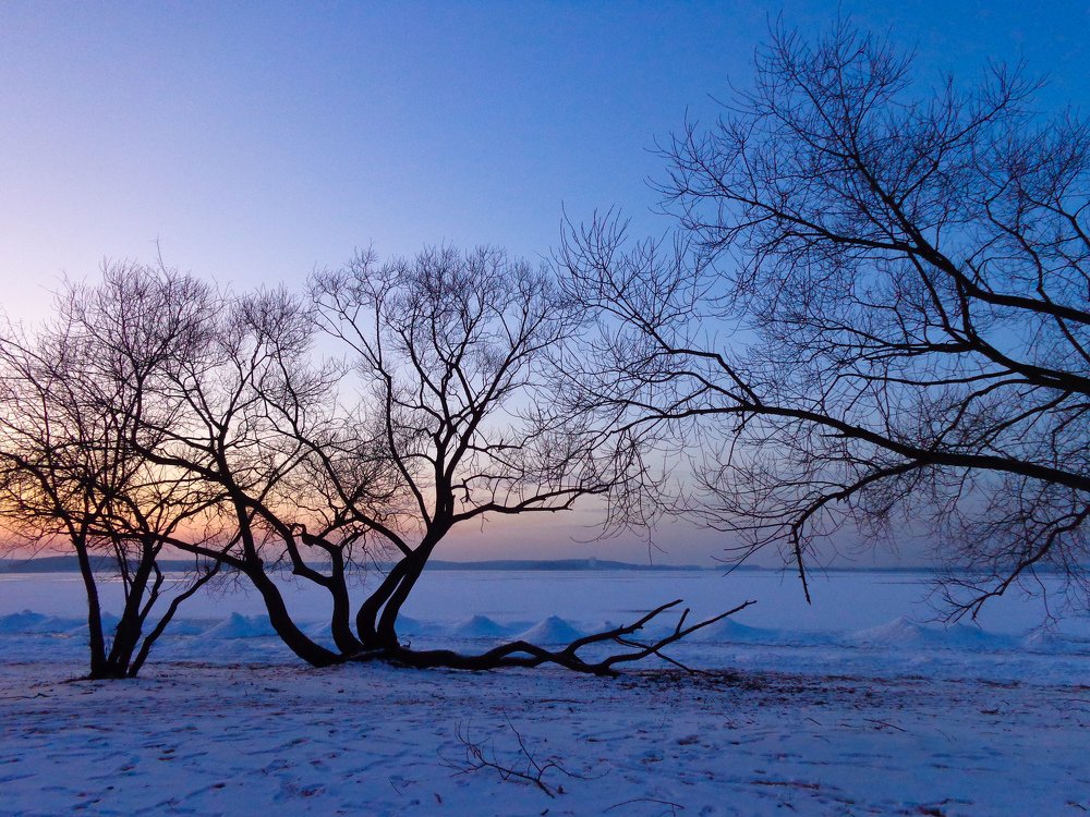 Гармония и покой.