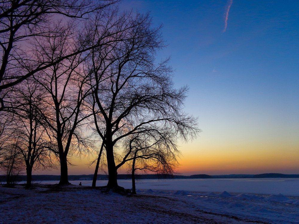 Фотография автора Екатерина Осипович