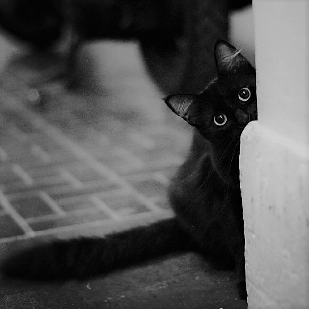 Photograph by Cesar Alejandro Barbieri Chincha