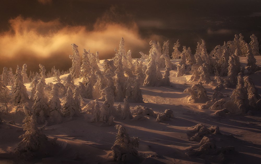 Photograph by Татьяна Бирюкова