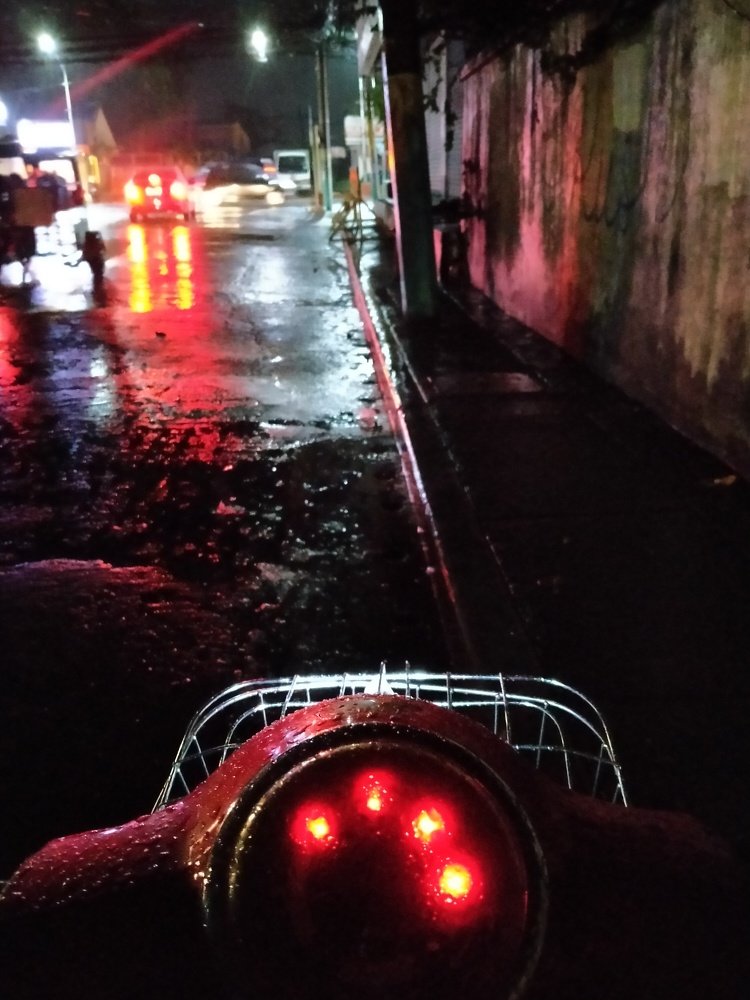 Photograph by Ma. Teresa Dejesus