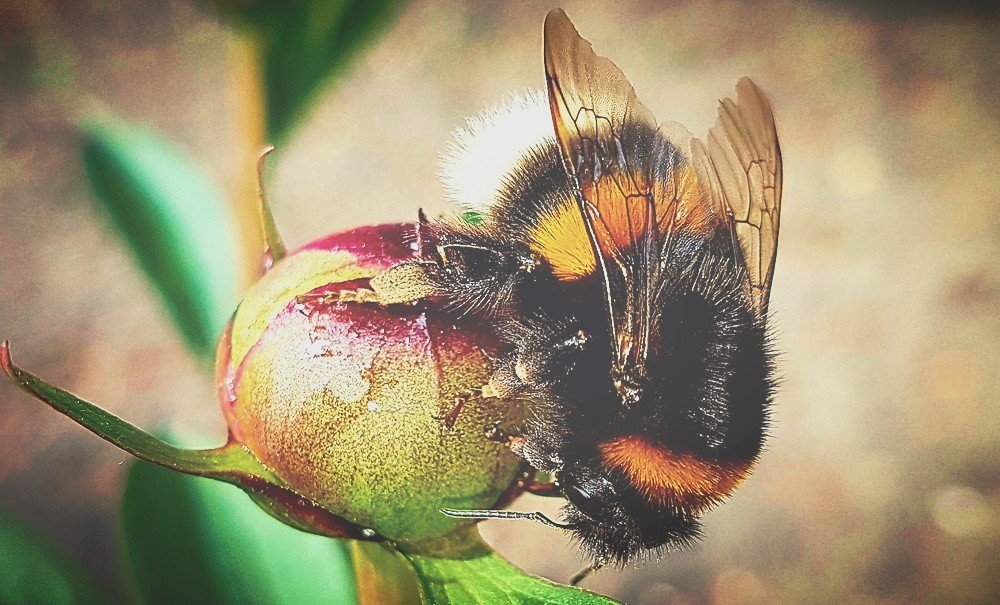 Photograph by Дмитрий Коршак