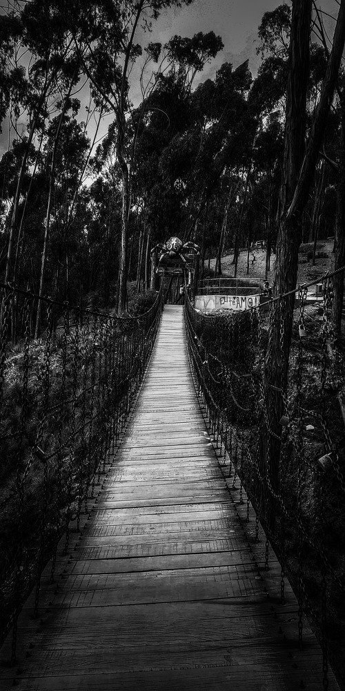 Loneliness