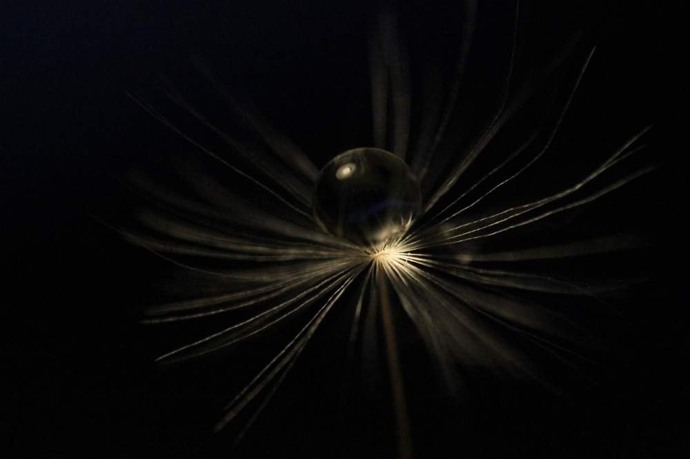 макро вселенная