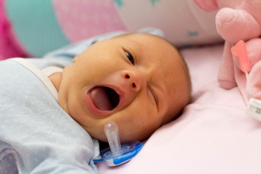 Фотография автора Элеонора Григорьева