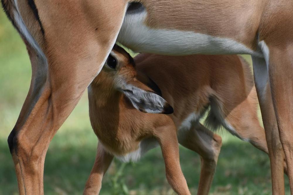 Photograph by Federico Genovese