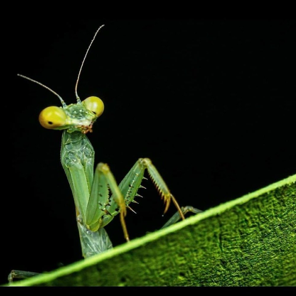 Фотография автора Jose Antonio Serrano