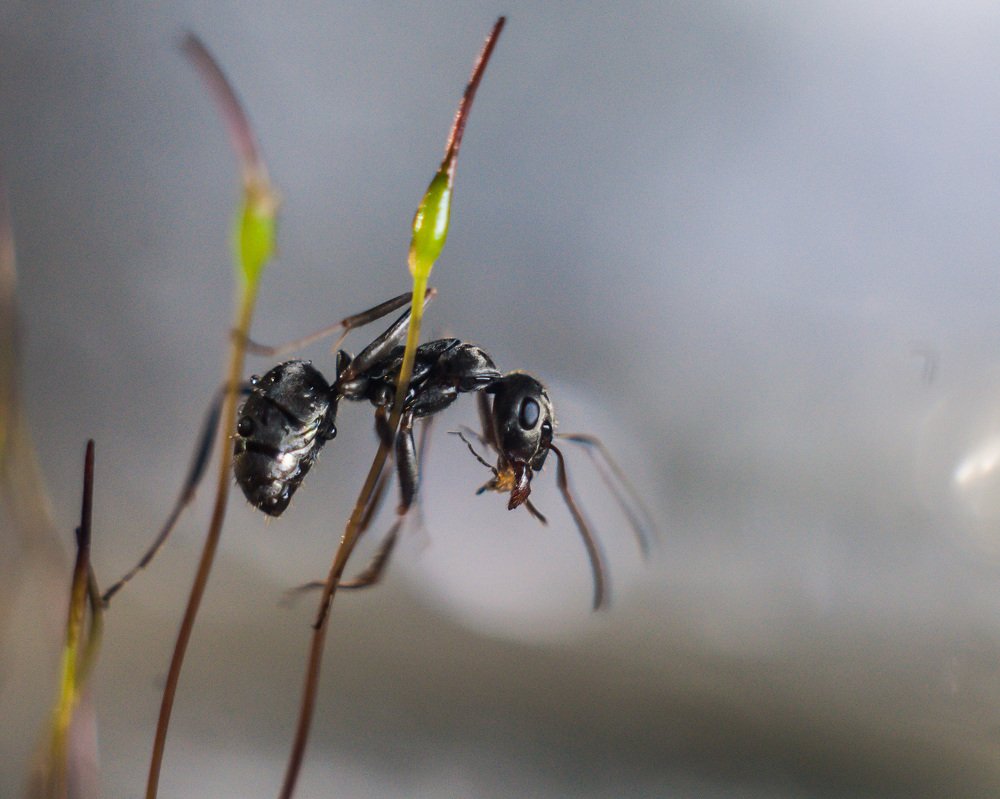 Photograph by Динара Зуйкова