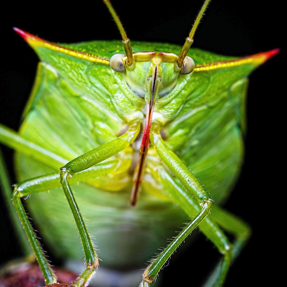 Фотография автора Jose Antonio Serrano