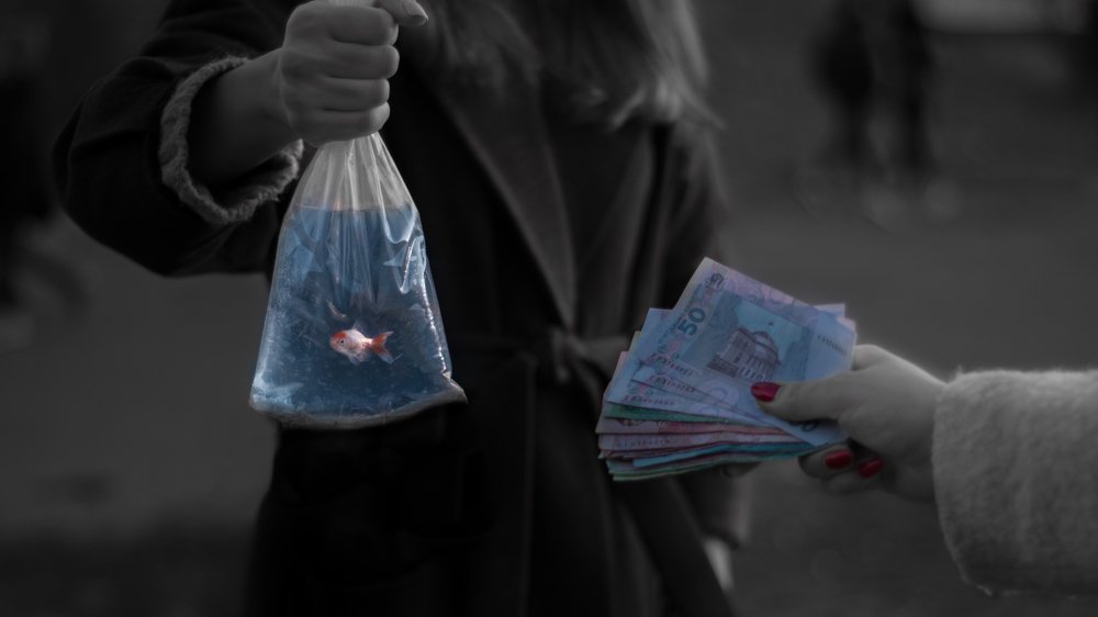 Photograph by Максим Пинчук