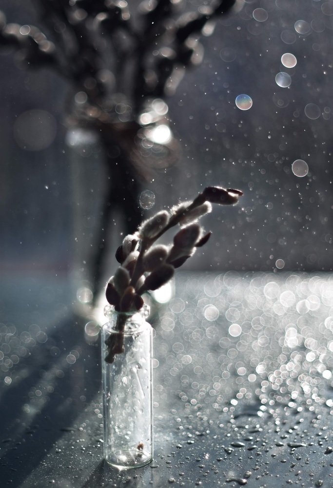 Photograph by Ксения Помогаева