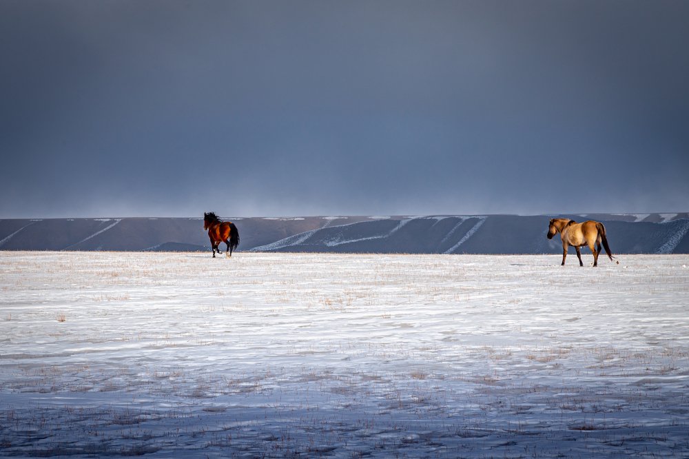 Photograph by Сергей Гук