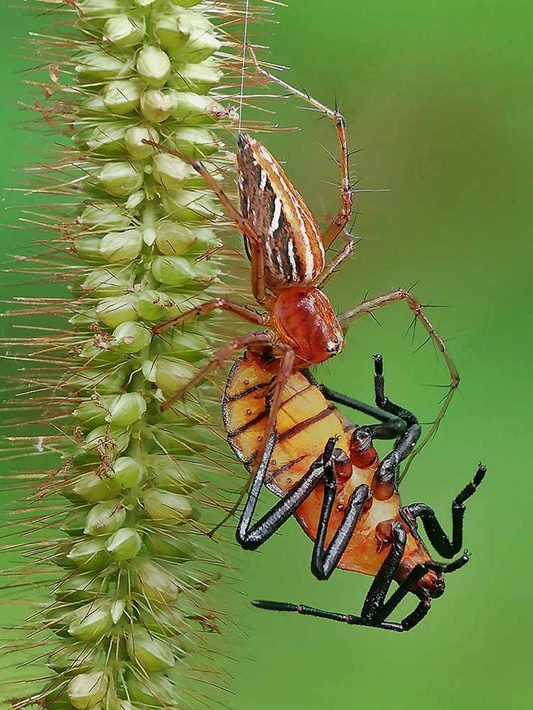 Photograph by Ananta Ghosh