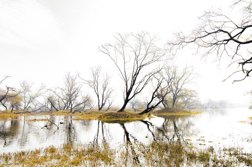 Фотография автора Arijit Mondal