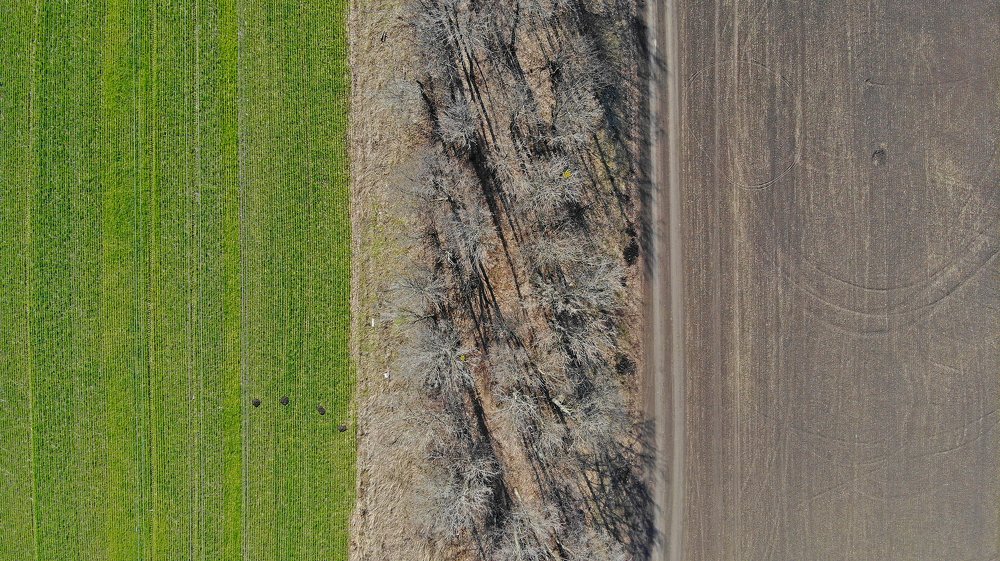 Photograph by Виталий Попов