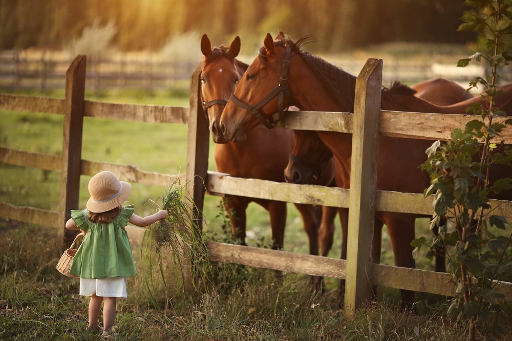 Photograph by Larisa Korsikova